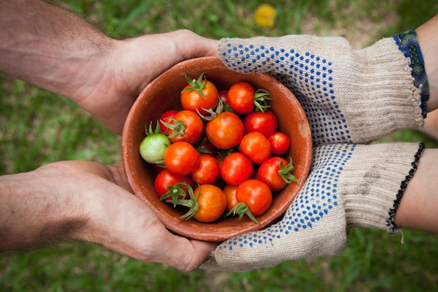 Fresh Produce